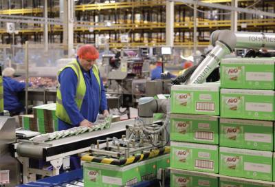 Leading UK Co-Packer, IPS Pioneers a Sustainable Future through Strategic Excellence